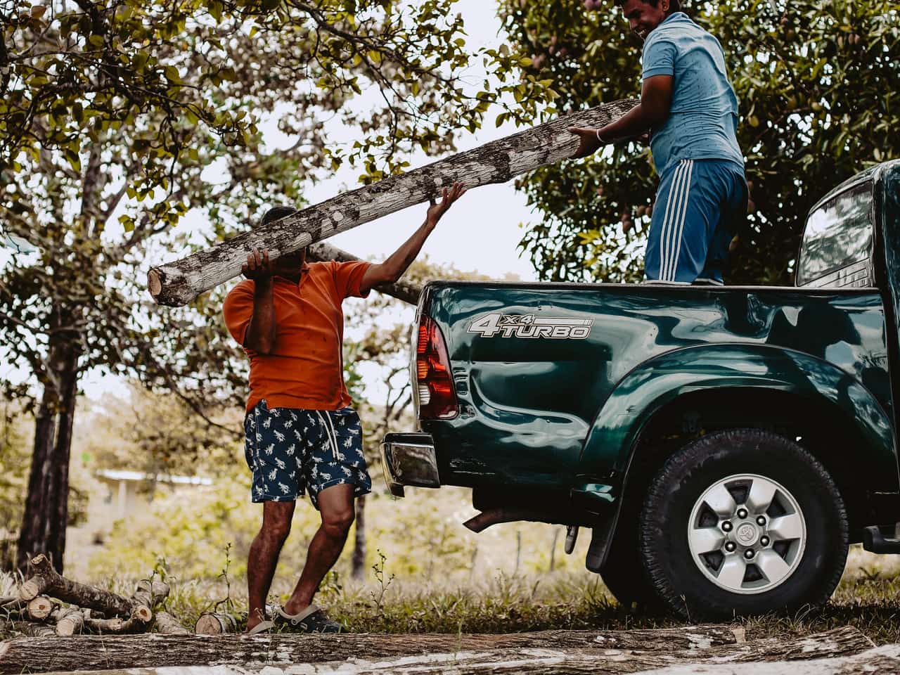 Pickup truck bed being loaded with cut logs